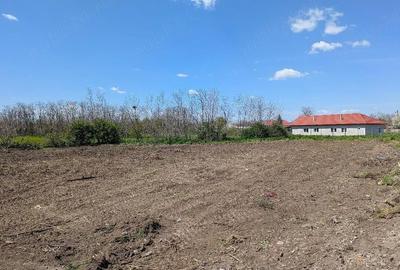 Teren de 3954 mp, în Nuntași - 4