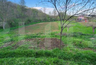 Teren de 6659 mp, în Nisipoasa - 12