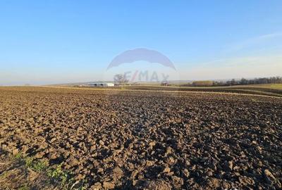 Teren de 6100 mp, în Stroiești - 11