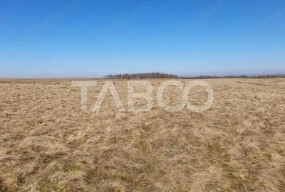 Teren de 600 mp, în Gura Văii - 1