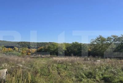 Casă cu 2 camere cu Teren 2397 Mp în Sud - 3