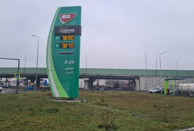 Teren Odai-Straulesti-Piscul Sadului 16.500mp - 4