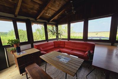 Teren de 80000 mp, în Covăsinț - 5