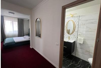 Hotel 3 stele Calea Calarasilor - 5