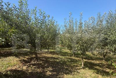 Teren de 2232 mp, în Central - 5