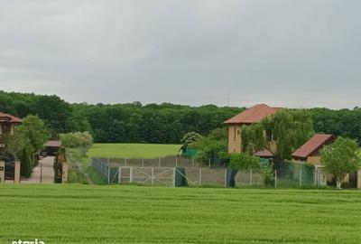 Casă cu 3 camere în Ciofliceni - 4