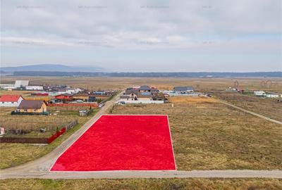 Teren 1000 mp Harman - 2