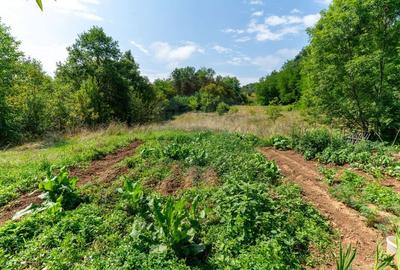 Casă individuală cu 3 camere cu Teren 9995 Mp în Ormindea - 40