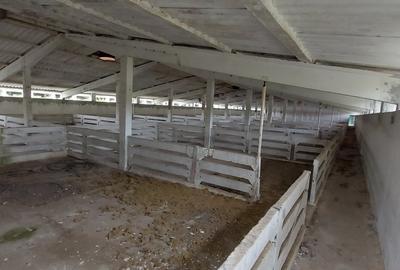 Vand Fost Complex de porci - 9