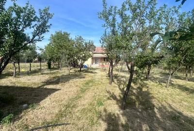 Casă cu 4 camere în Cornești - 9