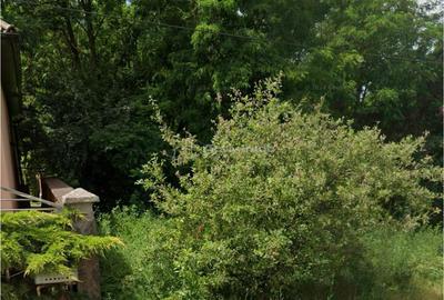 Spațiu comercial, în Oncea - 4