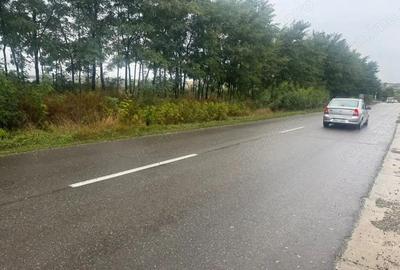 Teren de 10000 mp, în Moara - 3