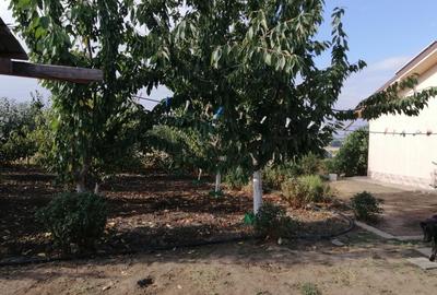 Casa de vânzare în afara zgomotului citadin - 4