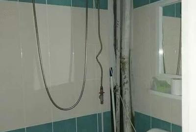 Garsonieră semidecomandată în Pădurea Neagră - 8