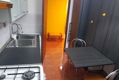 Apartament cu 2 camere decomandat în Sârbi - 8