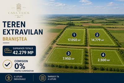 Teren agricol extravilan de 42279 mp, în Braniștea - 1