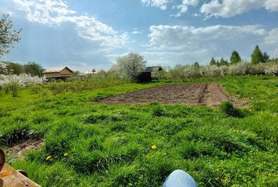 Teren de 5000 mp, în Pietroasa - 1