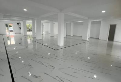 Spațiu comercial, de 250 mp, în Dumbrăvița - 1