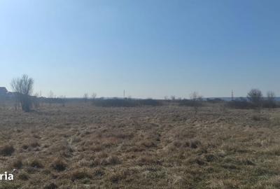 Teren de 500 mp, în Brestei - 2