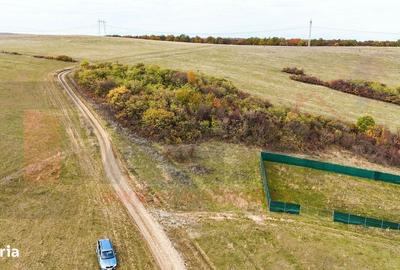 Spațiu comercial, în Rusciori - 1