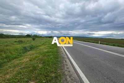 Teren Construcții intravilan de 2900 mp, în Sud - 1