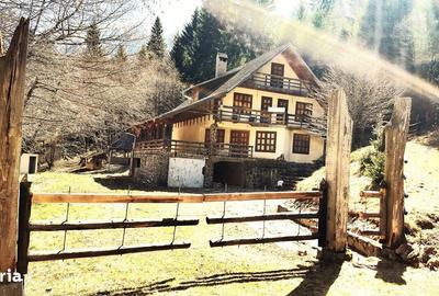 Casă cu 6 camere cu Teren 3884 Mp în Plaiul Foii - 20