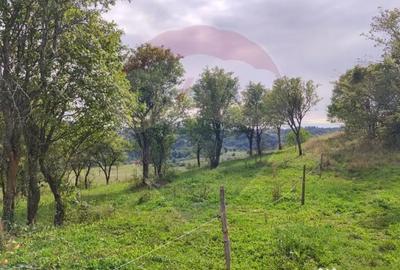 Teren de 3082 mp, în Damiș - 10