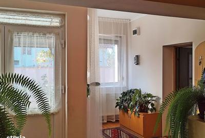 Casă cu 3 camere cu Teren 2826 Mp în Saca - 3