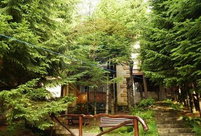 DE VANZARE Pensiune | 12 camere | Bisoca / Buzau - 13