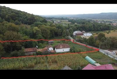 Teren de 7000 mp, în Băiculești - 9