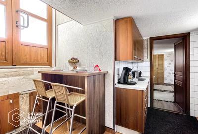 Apartament lux 1 camera la casa, centrala termica, loc parcare, Calea Romanilor - 4