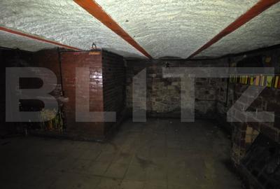 Proprietate istorica cu potential de transformare, in exclusivitate, 150 mp - 15