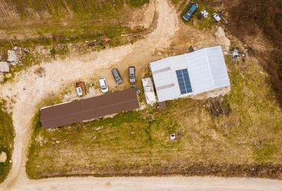 Vie de 115 Hectare in satul Dud, jude?ul Arad - 2