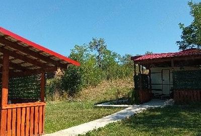 Casă cu 3 camere cu Teren 2697 Mp în Teș - 7