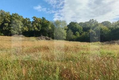 Teren de 1150 mp, în Făget