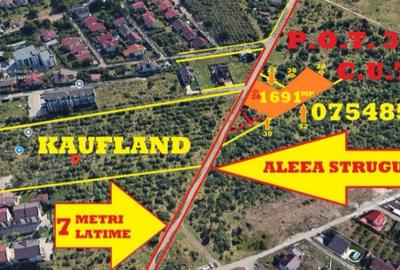 Galata,exact in spate la KAUFLAND din ?oseaua Ia?i Voine?ti,teren 858m - 3