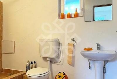 Casa cu teren 2052 mp in Saldabagiu de Munte - 6