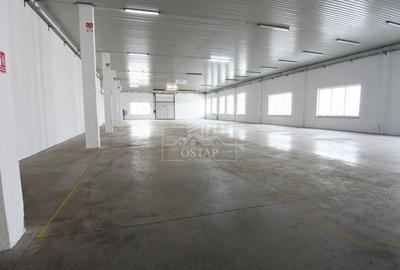 Hala 800 mp-acces TIR-grup sanitar-toate utilitatile-parcare-4 EUR/mp - 5