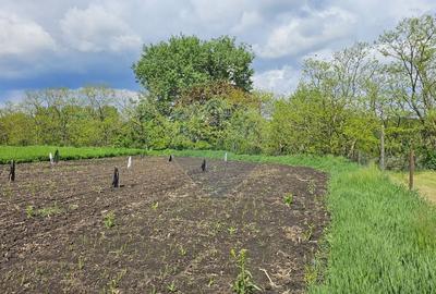 Casă  cu 3 camere, teren intravilan de 1300mp în Ipotești Tișăuți, SV - 31