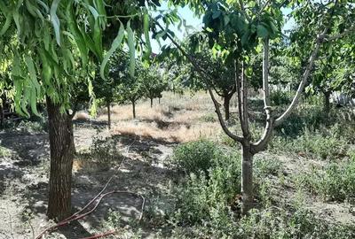 Casa in Sendreni Casa in Sendreni - 9