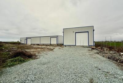 Spațiu industrial, de 700 mp, în Ovidiu - 4