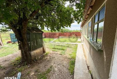 Casă cu 3 camere cu Teren 3014 Mp în Girișu de Criș - 5
