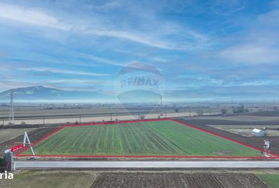 Spațiu comercial, în Lunca Calnicului - 7