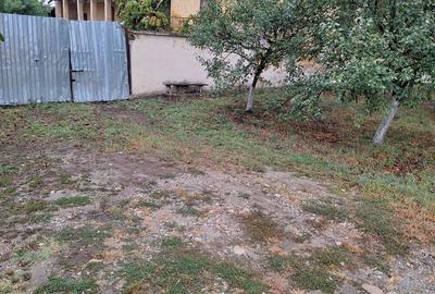 Vand Casa la 35 km de Timi?oara! - 1