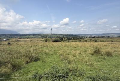 Teren intravilan 500 mp - Tohanul Nou Teren intravilan 500 mp - Tohanul Nou - 2