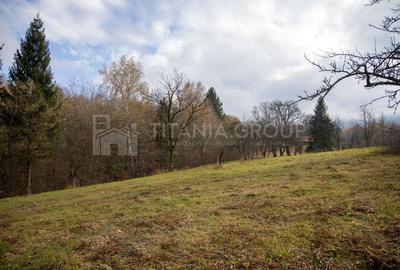 Teren intravilan, cu PUZ, Bran Tohanita,  SE ACCEPTĂ ȘI SCHIMB - 19