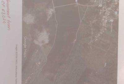 Spațiu comercial, în Dumești - 4