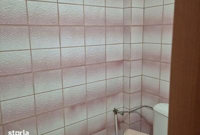 Apartament cu 4 camere în Militari - 13
