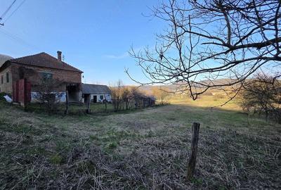 Casă cu 4 camere cu Teren 1887 Mp în Tisa - 19