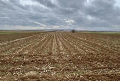 Teren de 2500 mp, în Horodnic - 5